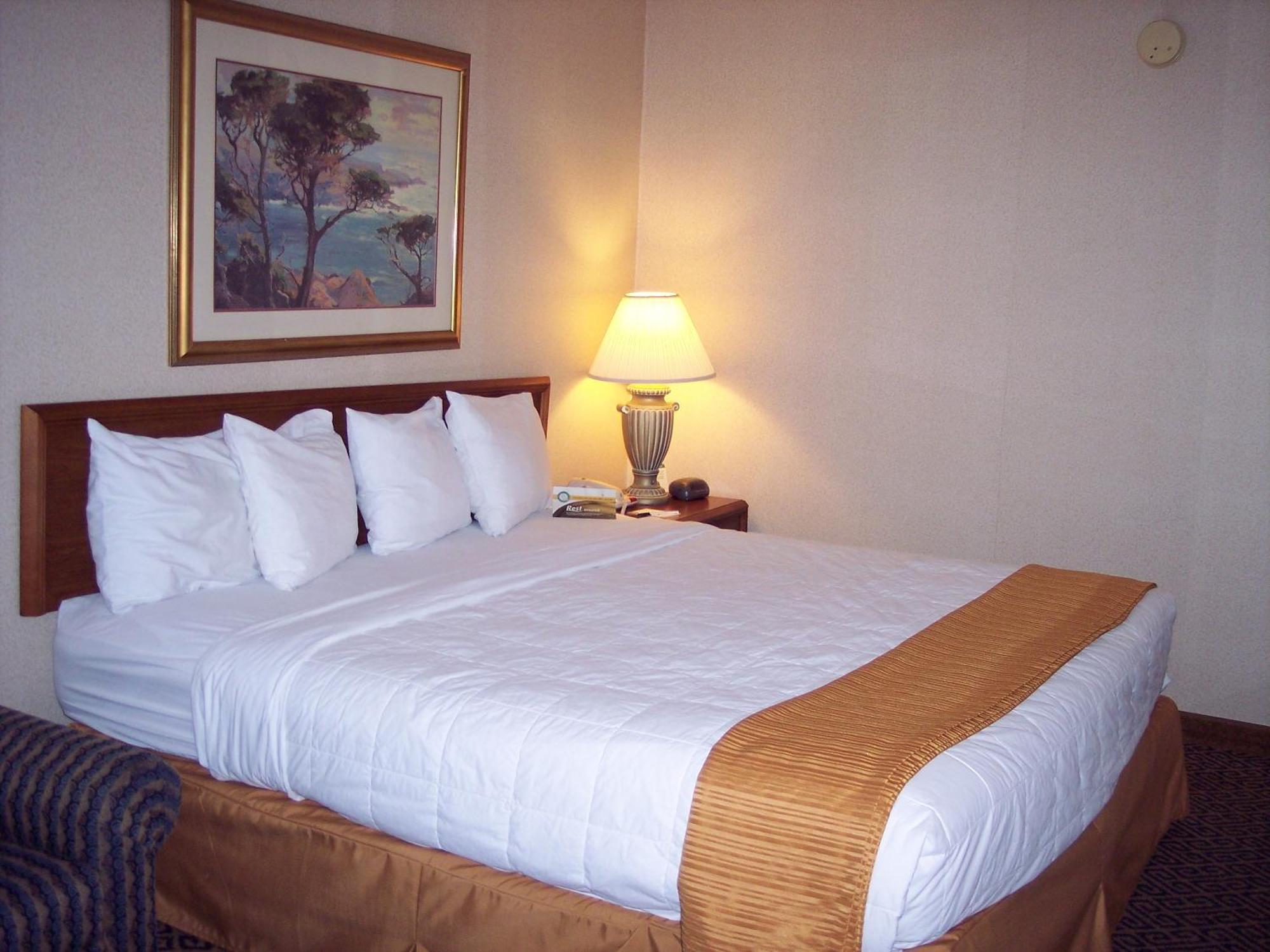 Quality Inn And Conference Center Springfield Rum bild